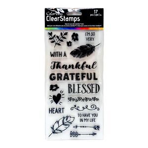 ColorBox Thankful Clear Stamp Set Feather Arrow Scrapbook Card Planner Craft NEW